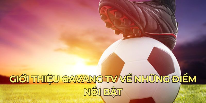 Giới thiệu Gavangtv về những điểm nổi bật